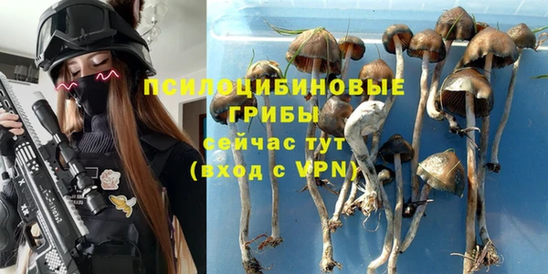 меф Армянск
