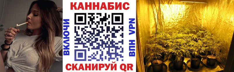 купить наркотики сайты  Борзя  МАРИХУАНА SATIVA & INDICA 